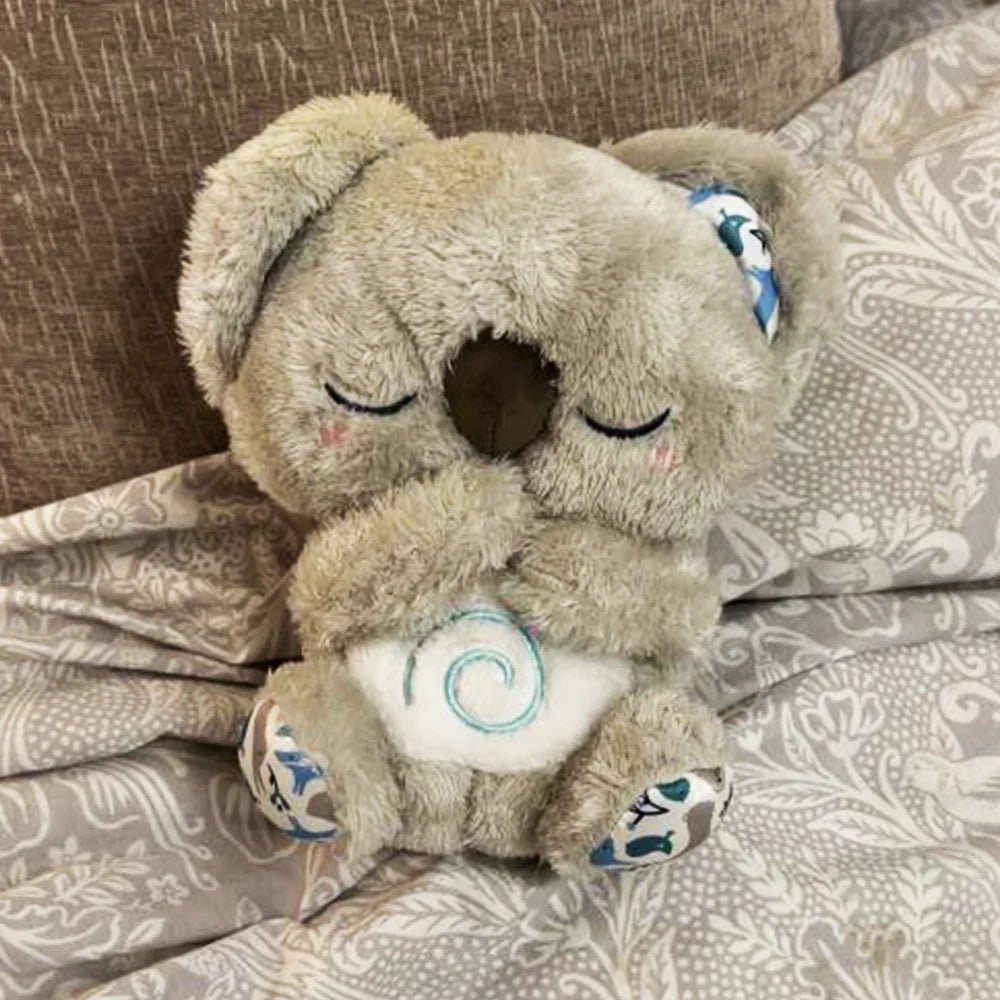 THE CALM KOALA