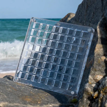 Sea Shell Box