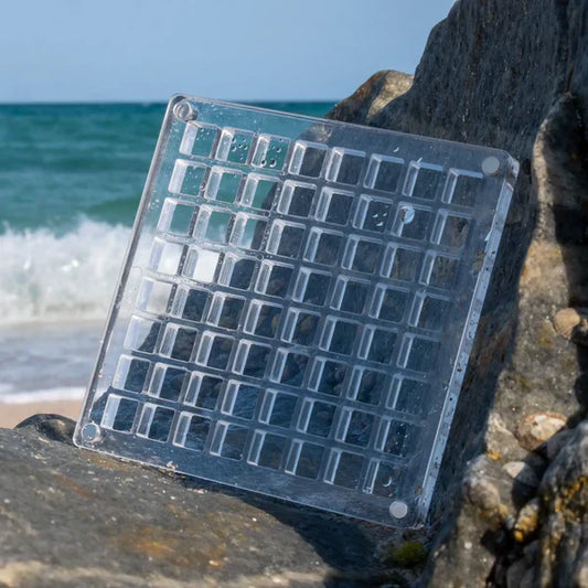 Sea Shell Box