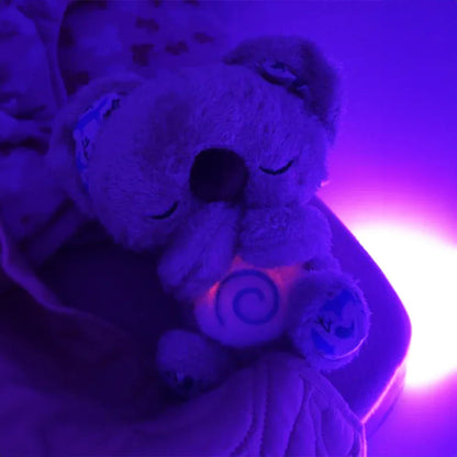 THE CALM KOALA