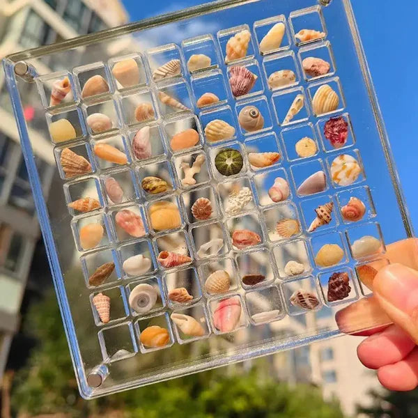 Sea Shell Box
