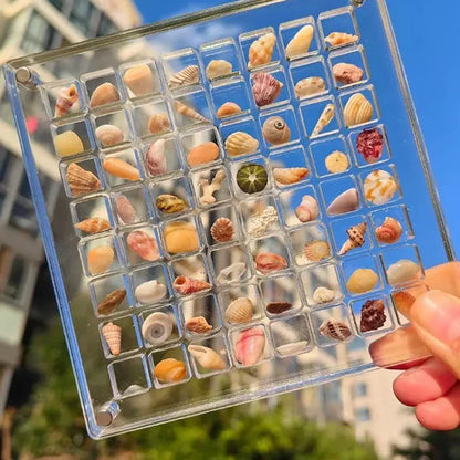 Sea Shell Box