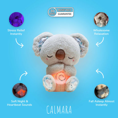 THE CALM KOALA
