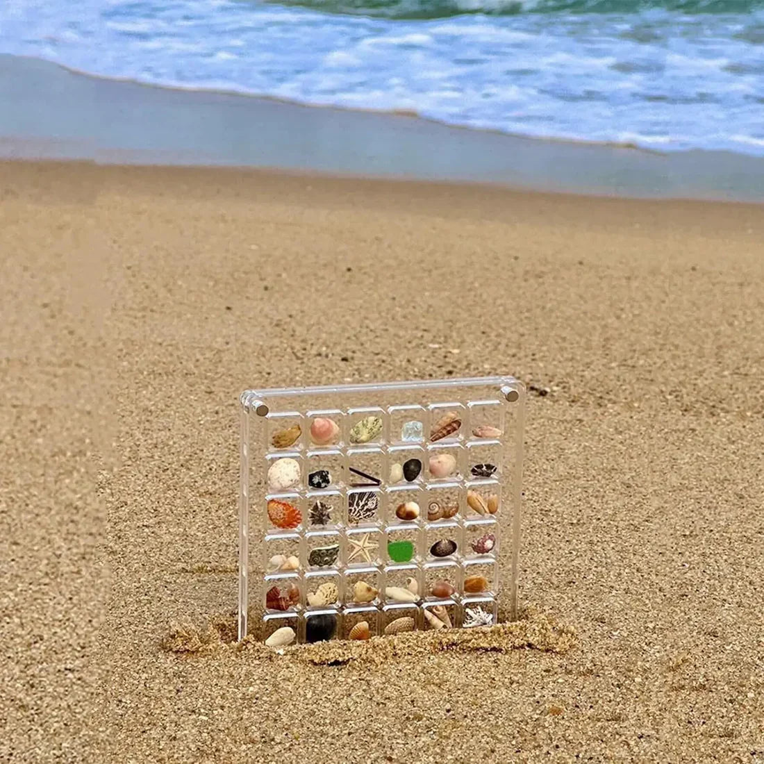 Sea Shell Box